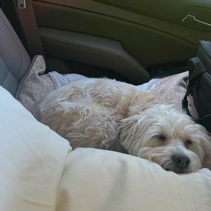 Meet your Posher, Allison